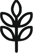 fibra